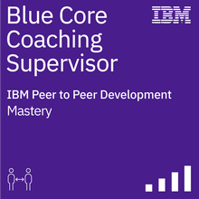 Blue Core Coaching Supervisor